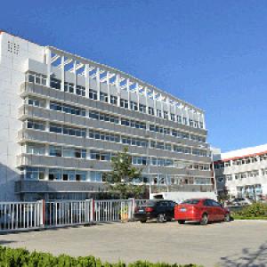 would like to make bigger progress in the coming 2025